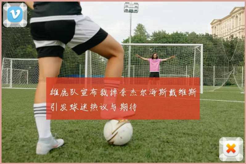 雄鹿队宣布裁掉奈杰尔海斯戴维斯引发球迷热议与期待